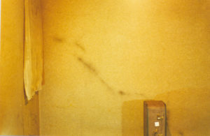 Sin Título. (2001). Fotografía.