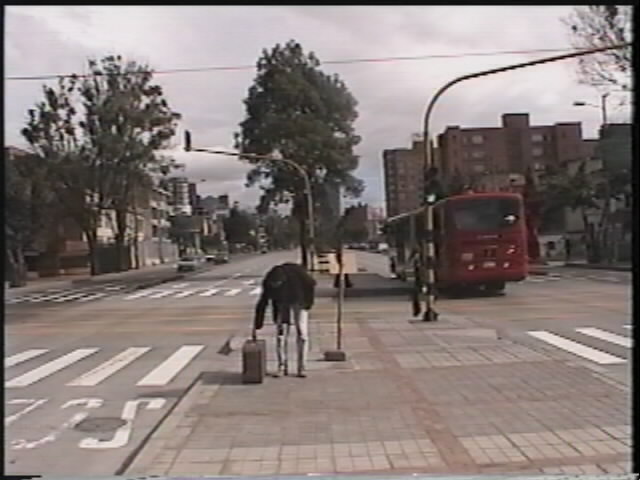 Tránsito. (2001). Video.